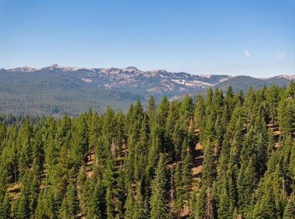 11494 Alder Hill Road, Truckee, CA 96161 Photo