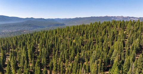 11494 Alder Hill Road, Truckee, CA 96161 Photo