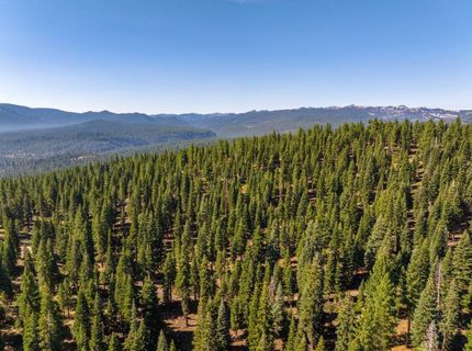 11494 Alder Hill Road, Truckee, CA 96161 Photo