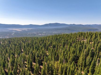 11494 Alder Hill Road, Truckee, CA 96161 Photo