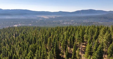 11494 Alder Hill Road, Truckee, CA 96161 Photo