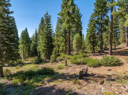 11494 Alder Hill Road, Truckee, CA 96161 Photo