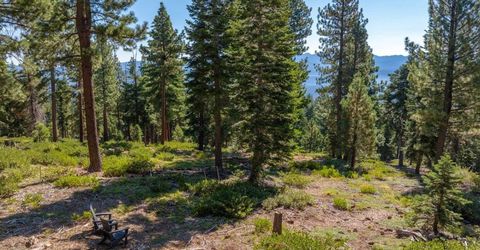 11494 Alder Hill Road, Truckee, CA 96161 Photo