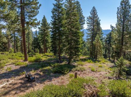 11494 Alder Hill Road, Truckee, CA 96161 Photo