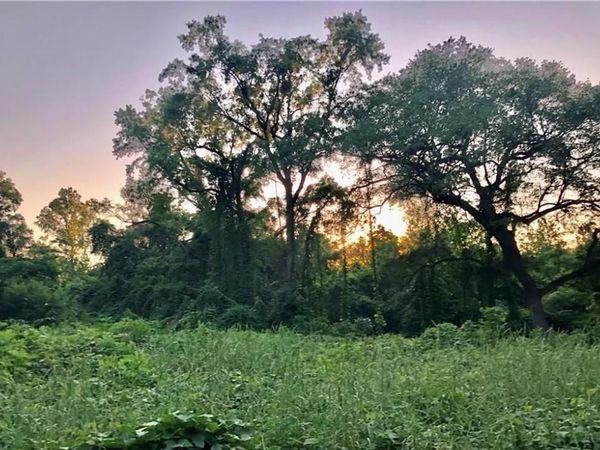 0 Hall Road, Mobile, AL 36618