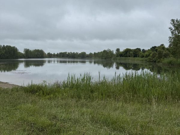 6971 Hartel Road, Potterville, MI 48876