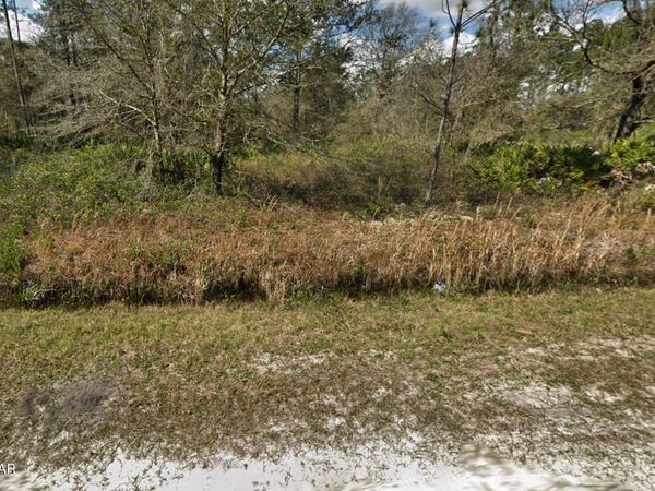 10675 Weatherby Avenue, Hastings, FL 32145