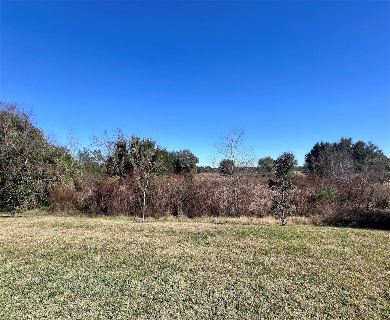 37187 Clinch Circle, Zephyrhills, FL 33540 Photo