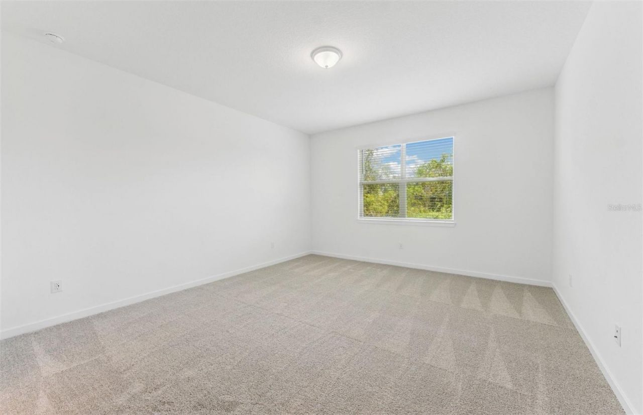 37187 Clinch Circle, Zephyrhills, FL 33540 Photo