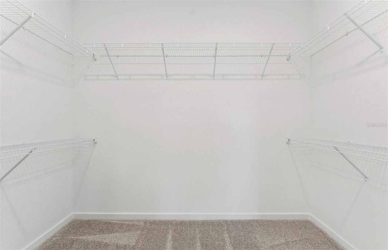 37187 Clinch Circle, Zephyrhills, FL 33540 Photo