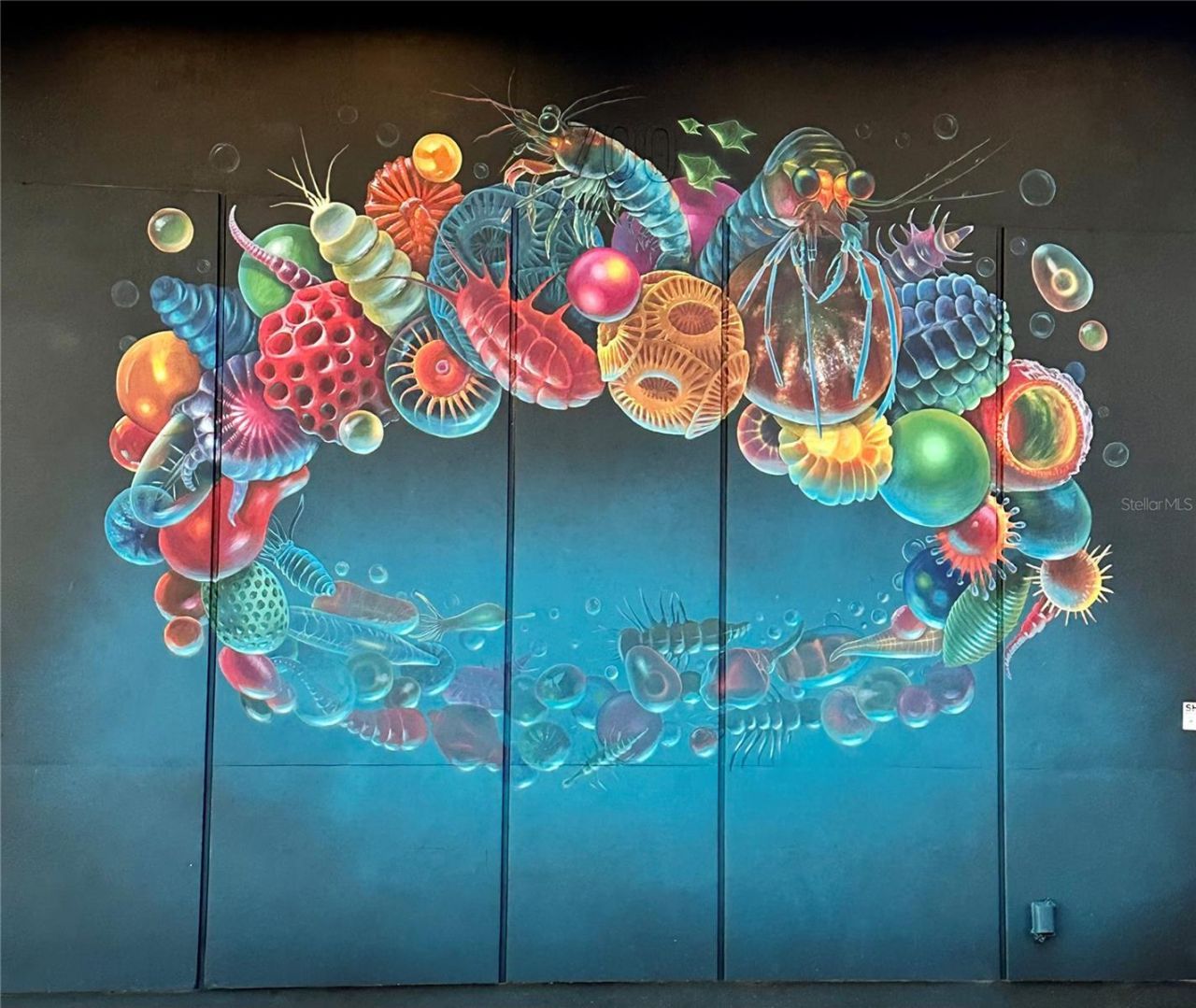 1065 Sable Court Ne, Saint Petersburg, FL 33702 Photo