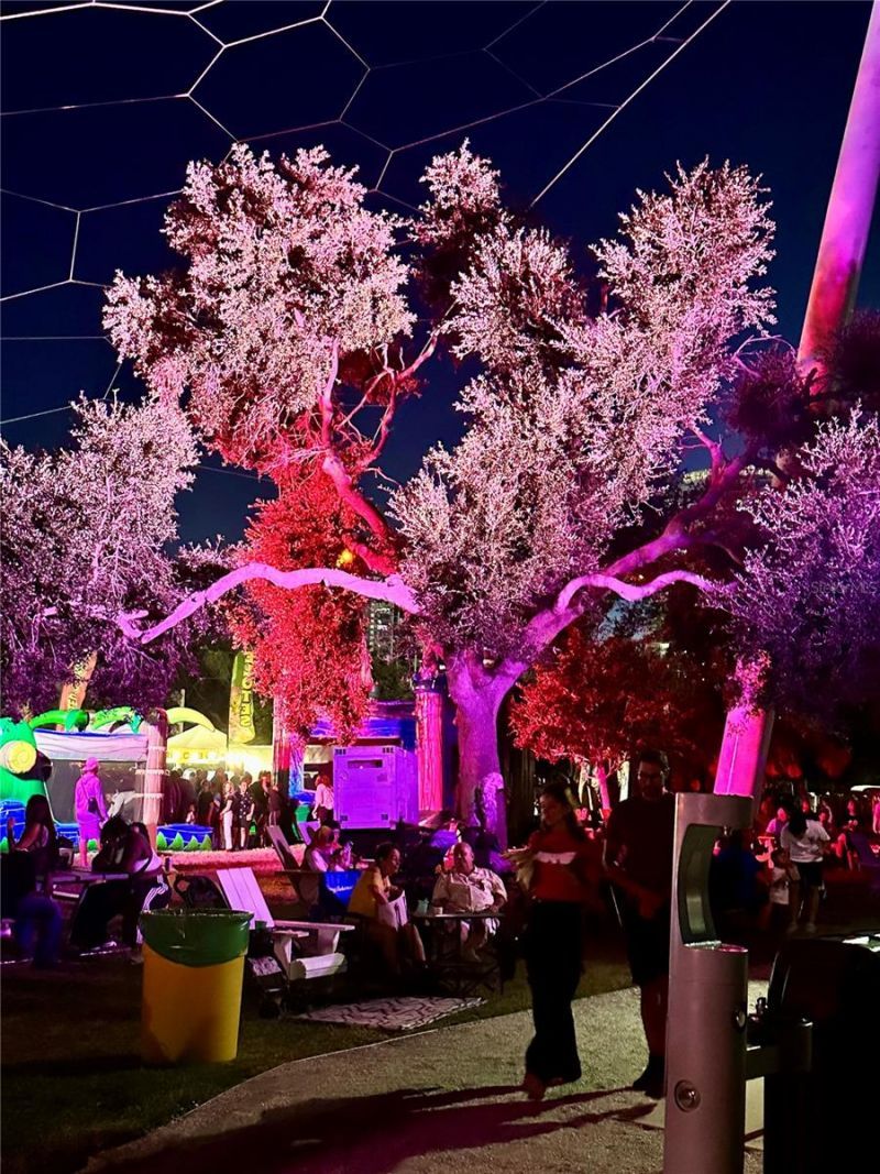 1065 Sable Court Ne, Saint Petersburg, FL 33702 Photo