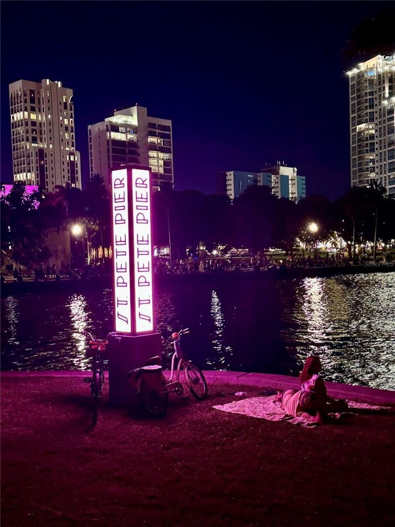 1065 Sable Court Ne, Saint Petersburg, FL 33702 Photo