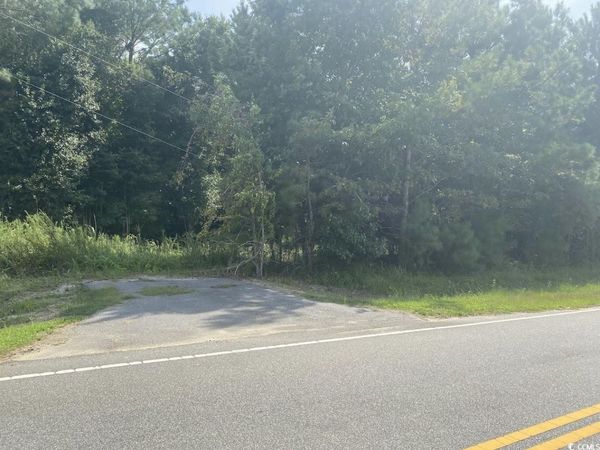 TBD Long Branch Swamp Rd., Green Sea, SC 29545