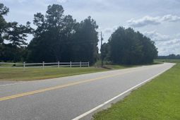 Tbd Long Branch Swamp Rd. photo 4