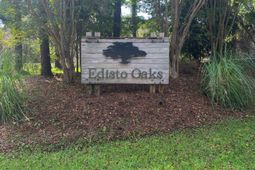 401 Deer Track Drive photo 4