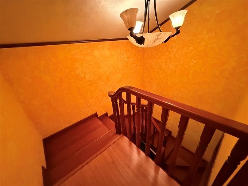 Villa Elena Villa Elena, , FM 00000 Photo