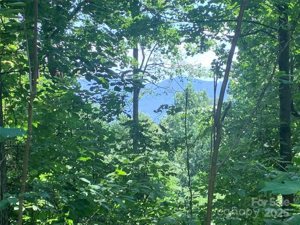 1915 Creston Drive, Black Mountain, NC 28711