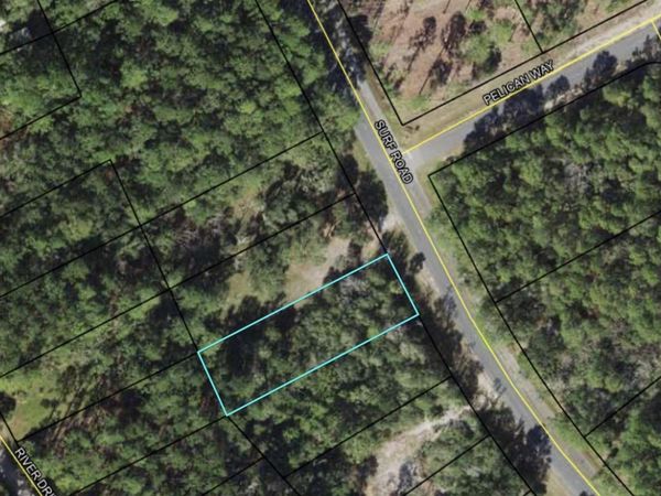 xx Surf Road, Panacea, FL 32346