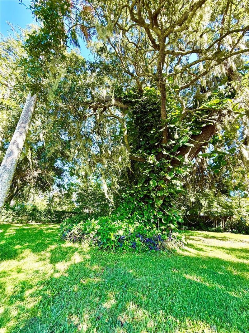 631 Elm Avenue, Holly Hill, FL 32117 Photo