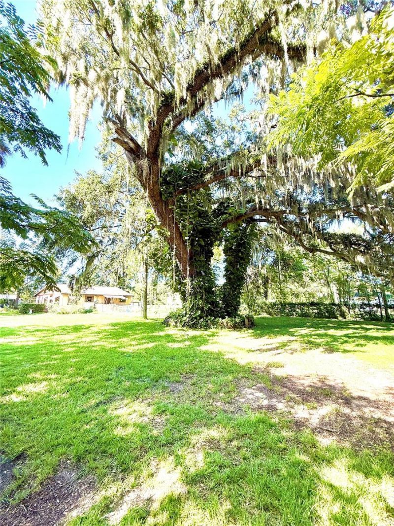 631 Elm Avenue, Holly Hill, FL 32117 Photo