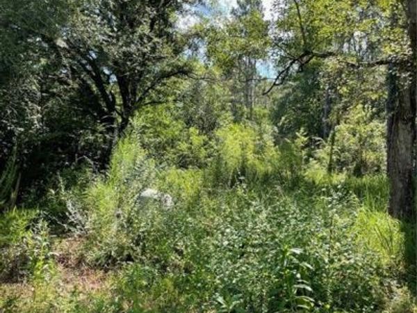 20150 County Road 87, Robertsdale, AL 36567