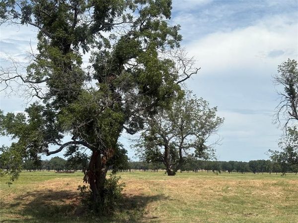 1067 River Ranch Lane, Weatherford, TX 76087