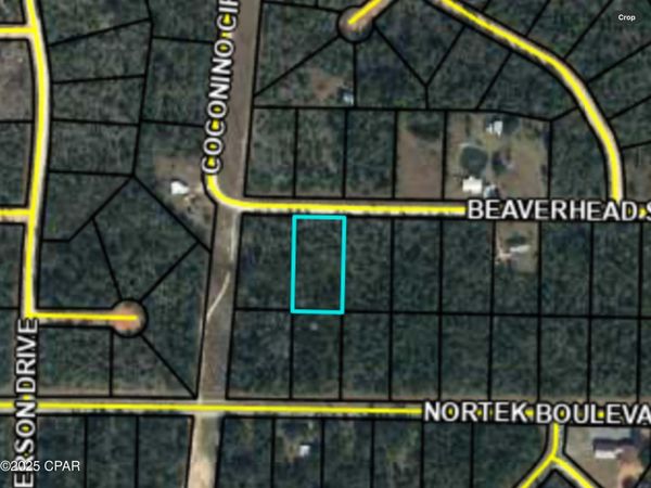 0000 Beaverhead Street, Alford, FL 32420