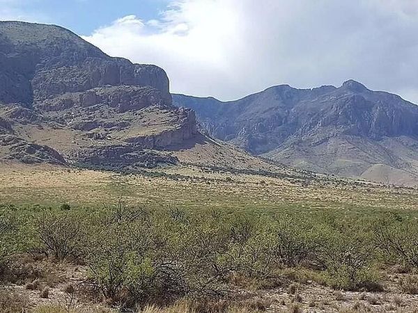 ---- 37 Acres Blacktail Road, Unit -, San Simon, AZ 85632