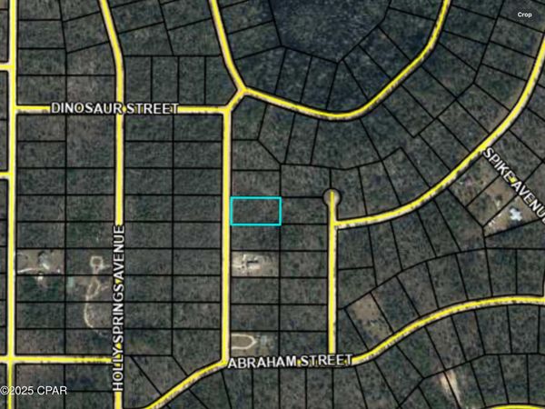 0000 Chattahoochee Avenue, Alford, FL 32420