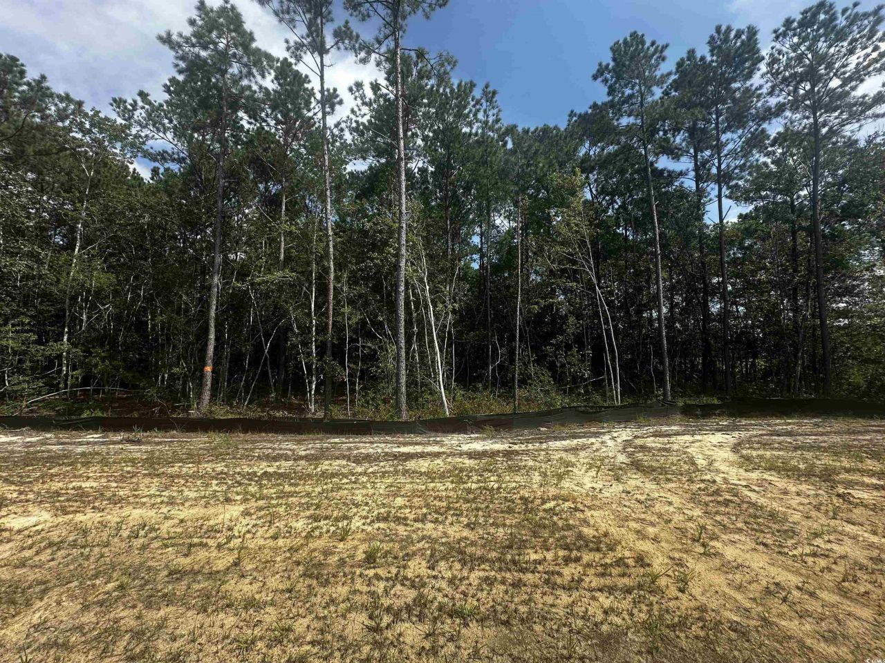 236 Layla Way Photo 21