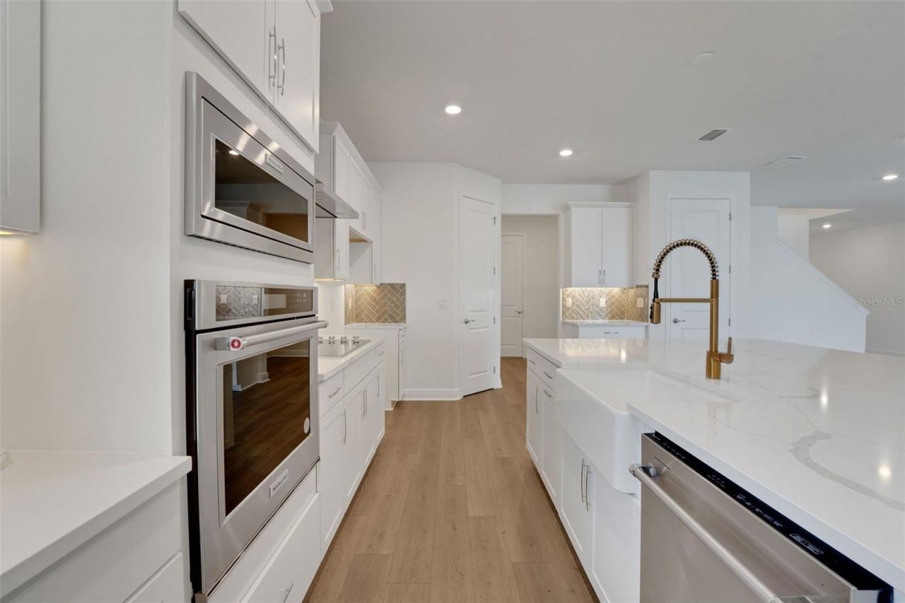 17421 Crisp Apple Lane, Land O Lakes, FL 34638 Photo