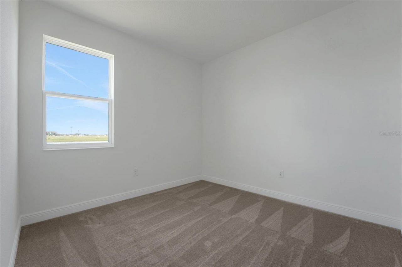 17421 Crisp Apple Lane, Land O Lakes, FL 34638 Photo