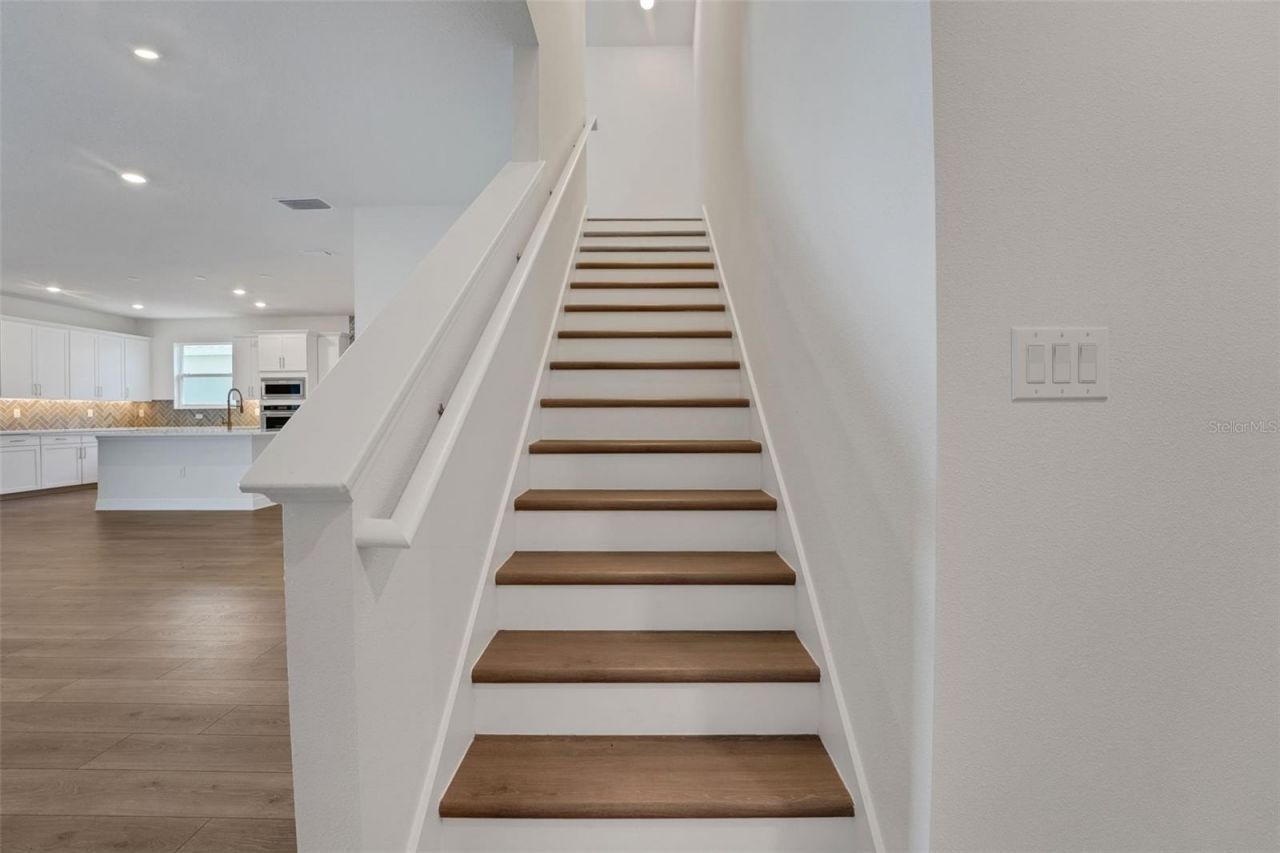 17421 Crisp Apple Lane, Land O Lakes, FL 34638 Photo