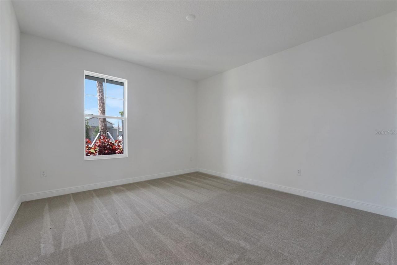 17421 Crisp Apple Lane, Land O Lakes, FL 34638 Photo
