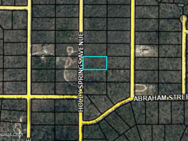 0000 Holly Springs Avenue, Alford, FL 32420