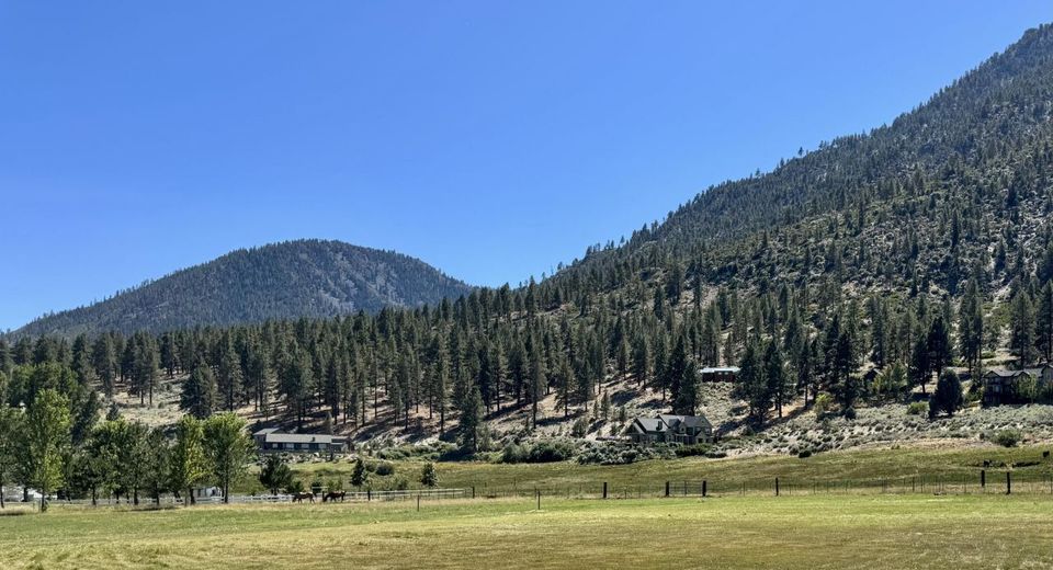 565 Jackson Ranch Road, Gardnerville, NV 89460 Photo