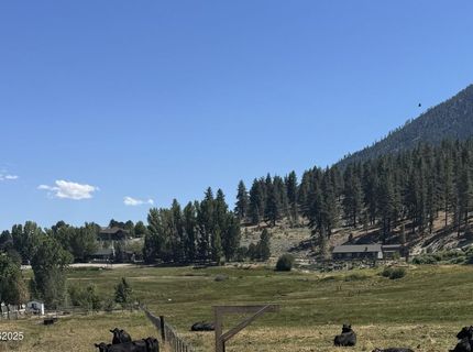 565 Jackson Ranch Road, Gardnerville, NV 89460 Photo