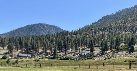 565 Jackson Ranch Road, Gardnerville, NV 89460 Photo