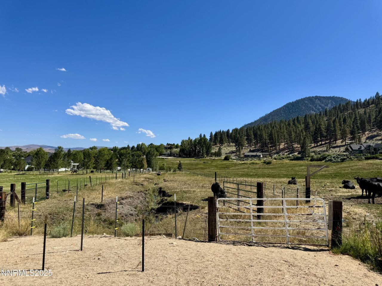 565 Jackson Ranch Road, Gardnerville, NV 89460 Photo