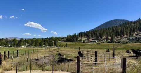 565 Jackson Ranch Road, Gardnerville, NV 89460 Photo