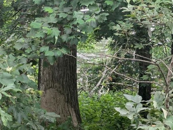 1656 Sky Park Rd, Florence, AL