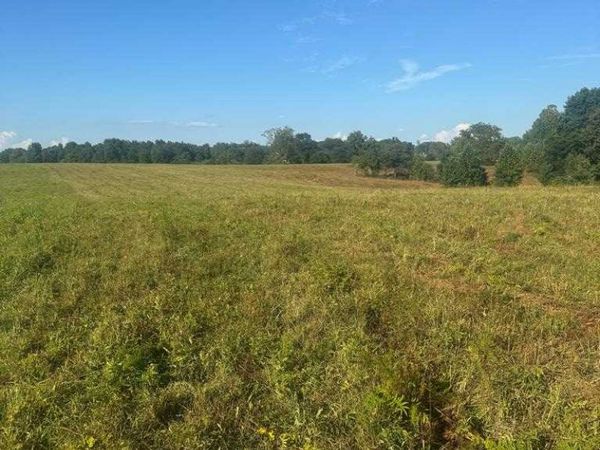 0 Old Paris Murray Rd, Puryear, TN 38251