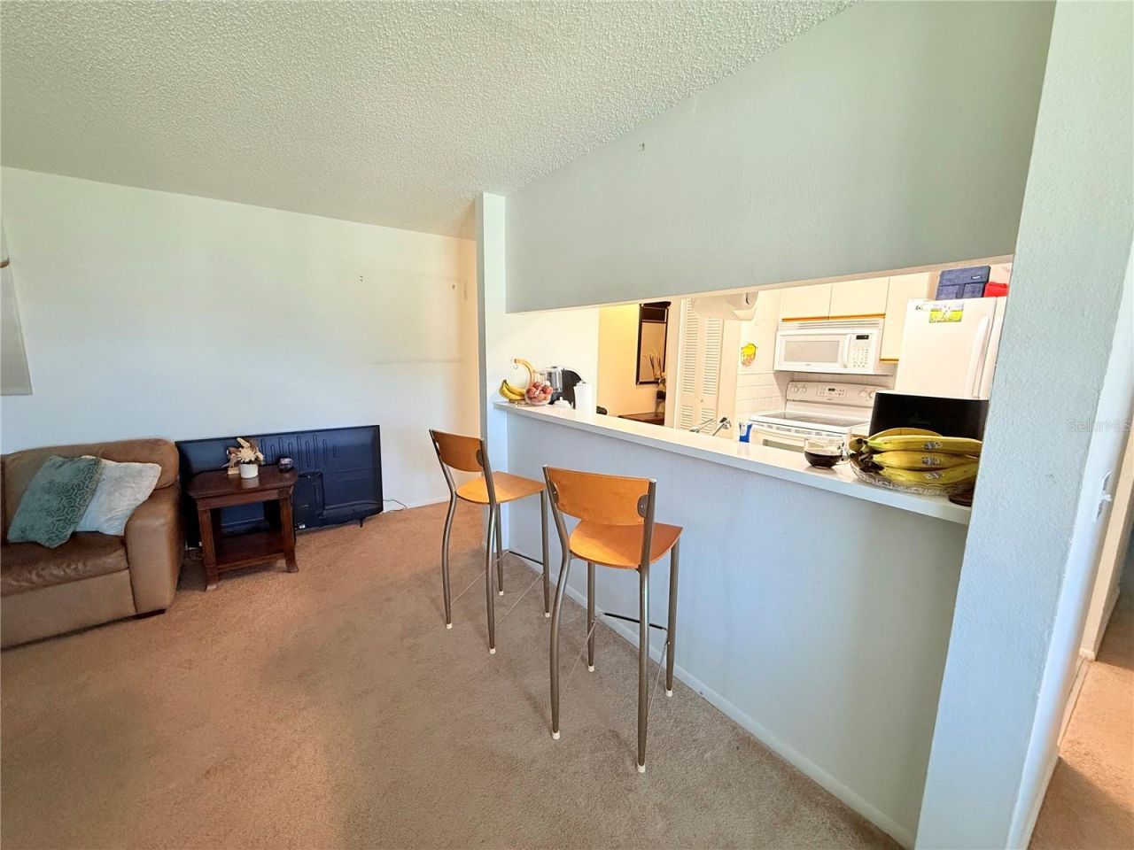 3001 58th Avenue S, Unit 1002, Saint Petersburg, FL 33712 Photo