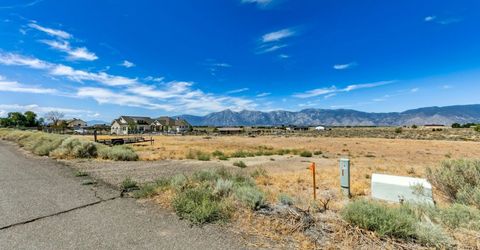 1770 Coyote Road, Minden, NV 89423 Photo