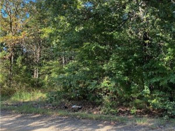 TBD West Avenue , Lead Hill, AR 72644