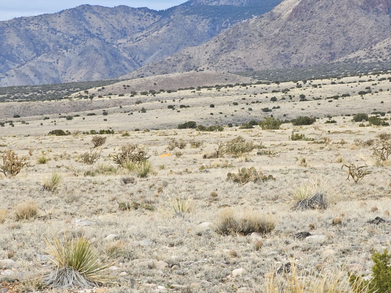 Vl Rdo Lot 2 Block 34, Lot #27, Los Lunas, NM 87031 Main Photo