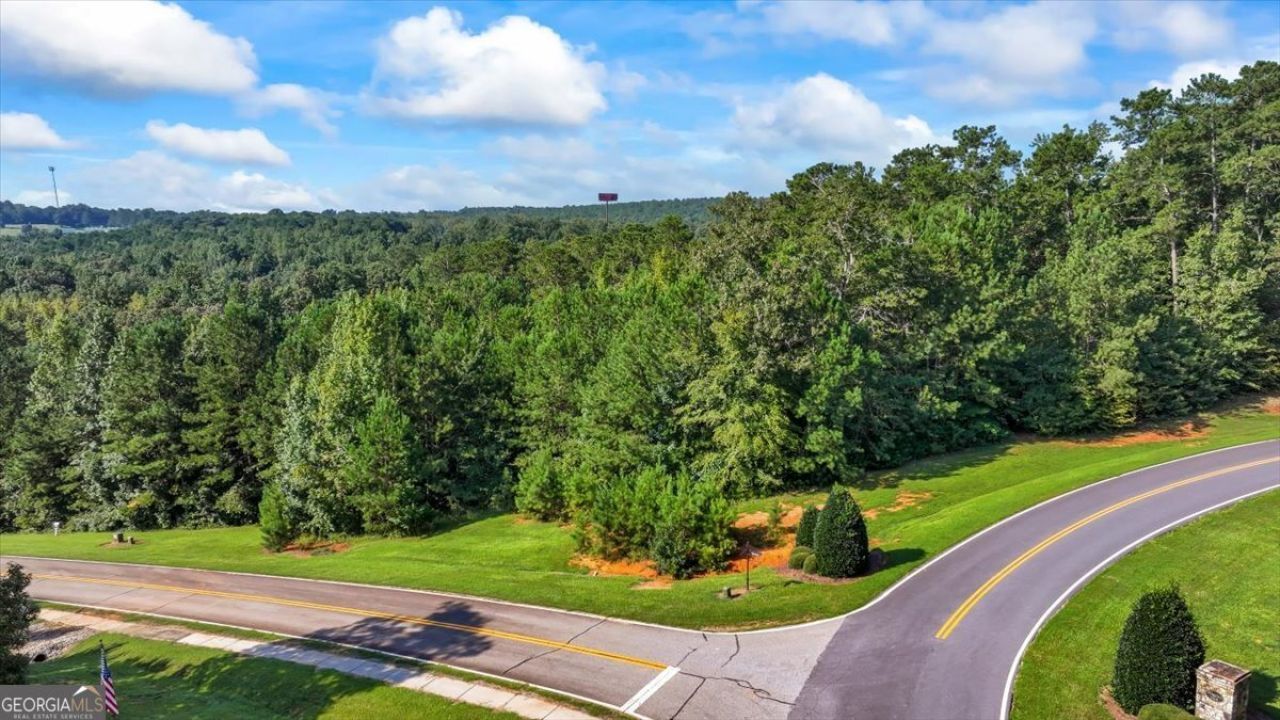 701 River Overlook, Forsyth, GA 31029 Main Photo