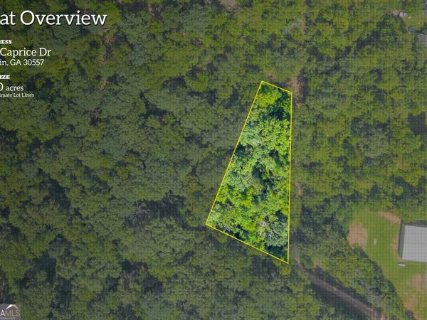311 Caprice Drive, Martin, GA 30557