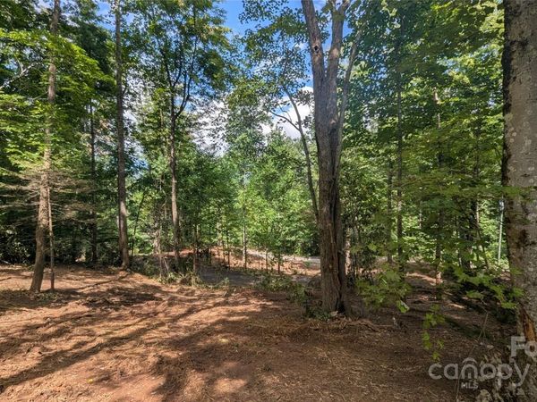 707 Apple Tree Court, Waynesville, NC 28786